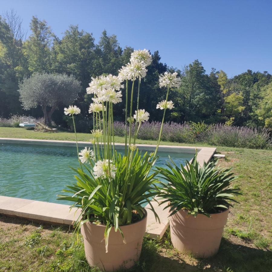 Chambre Double En Pleine Nature "La Clairiere De L'Ange" Peyrins Esterno foto