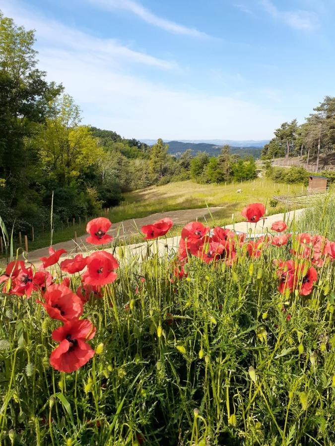 Chambre Double En Pleine Nature "La Clairiere De L'Ange" Peyrins Esterno foto